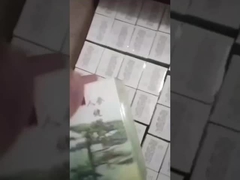 인젠징 키안피 알약